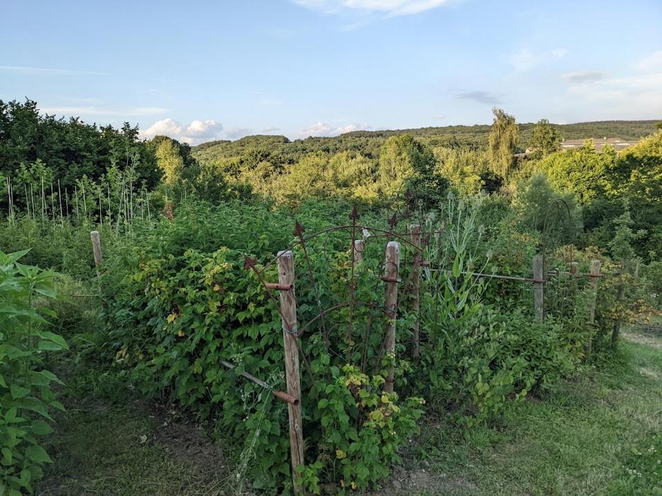 La Jardiniere Bed and Breakfast Érezée Εξωτερικό φωτογραφία